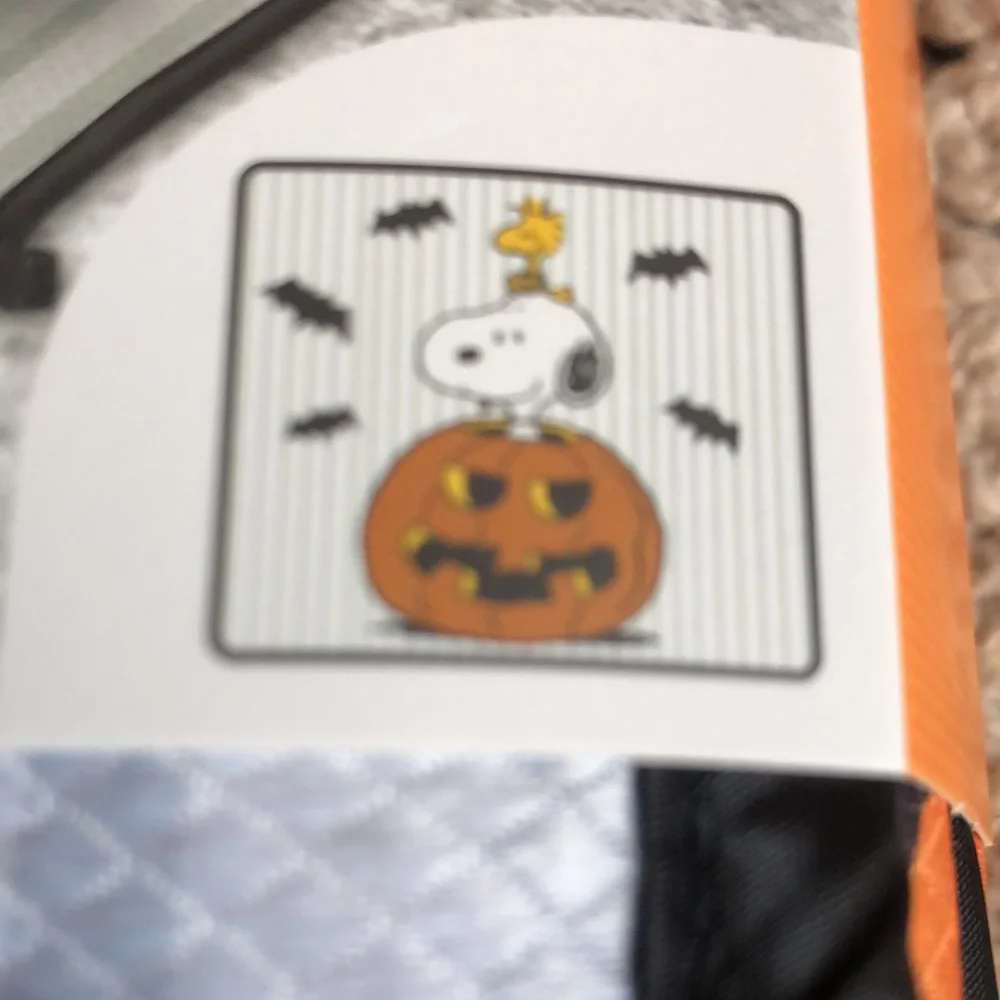 Peanuts SNOOPY Halloween Dish Drying Mats